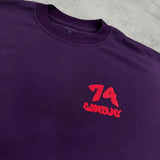 CAMISETA 74 OVERSIZED CRIA DO SISTEMA